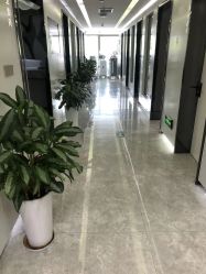 点击看大图 -悟空祛痘·诺奖技术专业店