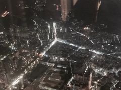-顶鲜101美食美景餐厅