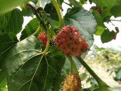 -邹记·美食(斗门店)