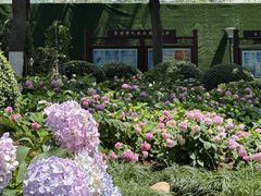 -常州古运河南大街文化旅游区-人民公园