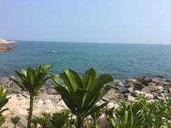 -广东惠东海龟国家级自然保护区