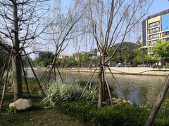 -金鸡山公园