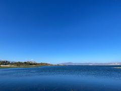 -洱海月湿地公园