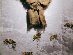 -毛泽东才溪乡调查旧址景区