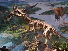 -自贡恐龙博物馆