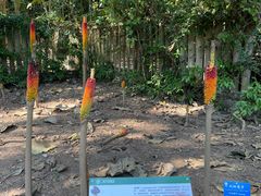 -中国科学院西双版纳热带植物园