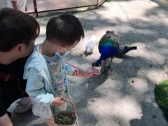 -史努比缤纷世界