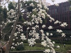 -上海虹桥宾馆味翠餐厅