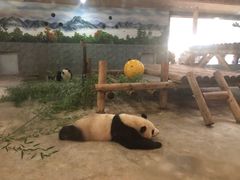 -西安秦岭野生动物园