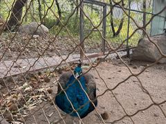 -丹东市五龙山风景区