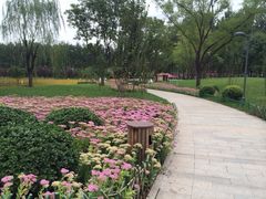 iphone_upload_pic-仁和公园(顺义区)