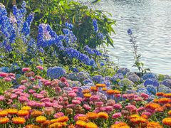 -荔湾湖公园