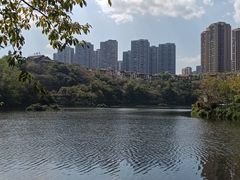 -重庆彩云湖湿地公园