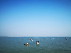 -北海金海湾红树林生态旅游区