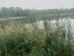-北坞公园