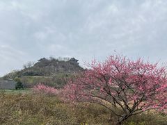 -雅达·阳羡溪山小镇中心