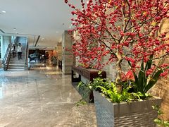 -白天鹅宾馆-宏图府餐厅