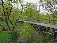 -西湖风景区-江洋畈生态公园