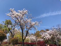 -天王寺公园