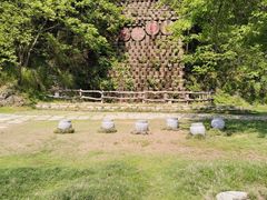 -千年银杏谷文化旅游区