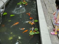 android_upload_pic-T館·花园艺术餐厅