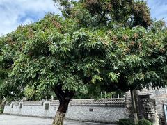 -冯子材故居