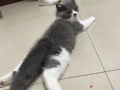 -荔康动物医院(康王北路店)