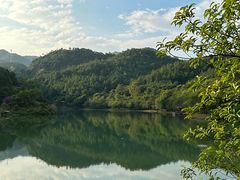 -广州白江湖森林公园