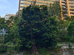 -香港大学