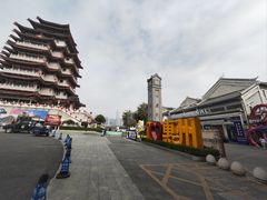 -广东惠东海龟国家级自然保护区
