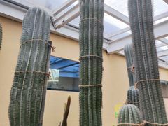 -正佳雨林生态植物园