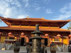 -三水森林公园