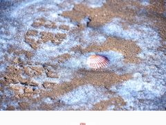 -烟台金沙滩海滨公园