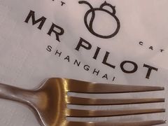 -飞行喵MR PILOT|猫舍·猫咖(静安大融城店)