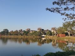 -美的鹭湖森林度假区