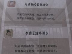 -曹州牡丹园