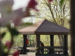 -永定河休闲森林公园