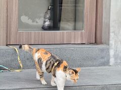 -Again Coffee Roaster(香蜜湖店)