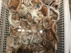 -百纳·锦绣江南 (百纳瑞汀酒店)