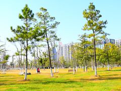 -天鹅湖体育公园