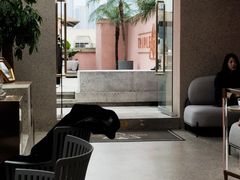 -三间愈舍·Triple Spa(重庆IFS国金中心店)