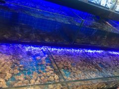 -透明思烤·自助烤肉海鲜火锅(东部星悦天地店)