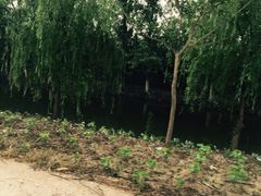 -潘太师炸鸡腿(中茵海华广场店)