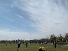 -春花秋色城市公园