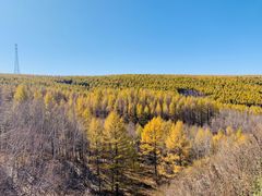 -塞罕坝国家级自然保护区