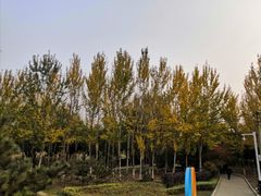-前关湿地公园