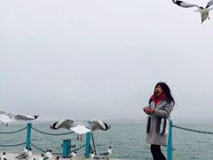 -青海湖国家重点风景名胜区