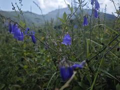 -灵山