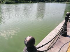 -美兰湖景区