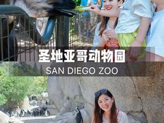 -圣地亚哥动物园